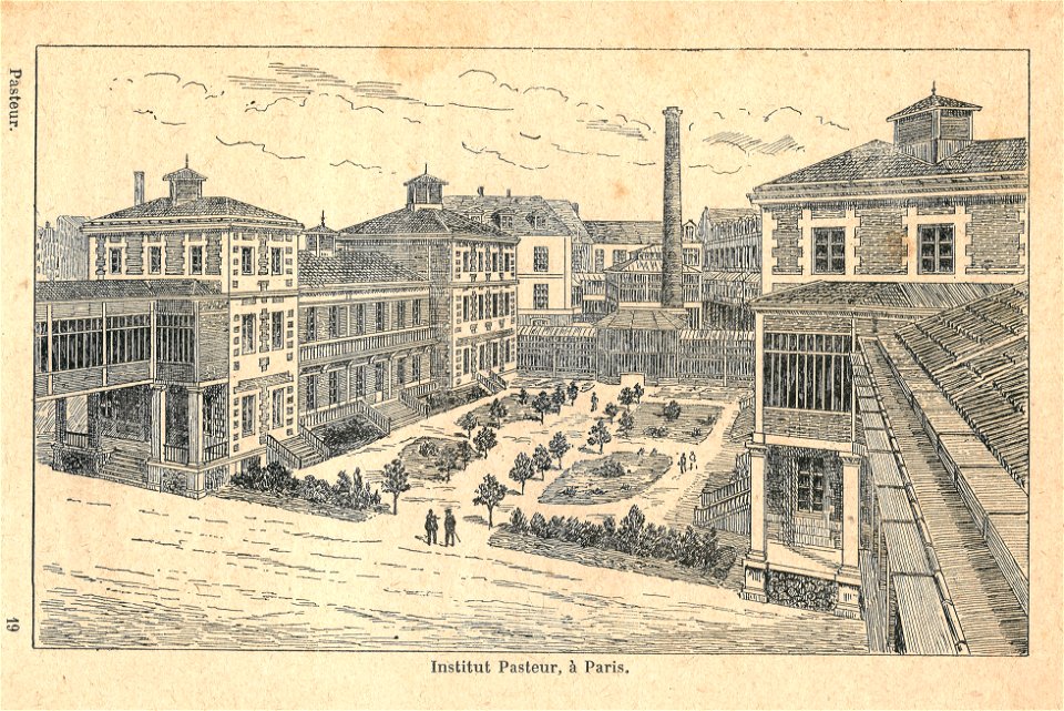 Louis Pasteur-Institut Pasteur à Paris