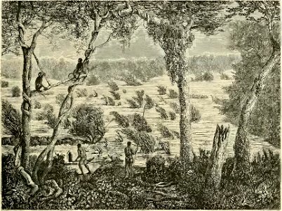 Louis Delaporte - Voyage d'exploration en Indo-Chine, tome 1 (page 194 crop)