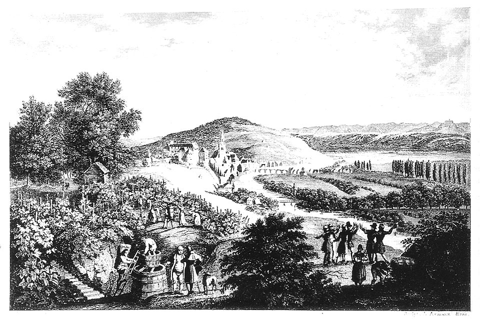 Louis Mayer - Tübingen vom Spitzberg (Stahlstich J Axmann) ca.1836 Inv.267 (SW054)