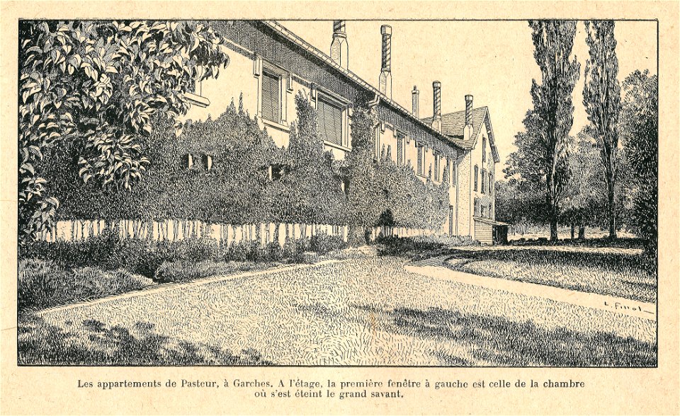 Louis Pasteur-établissement de Garches-dessin-1