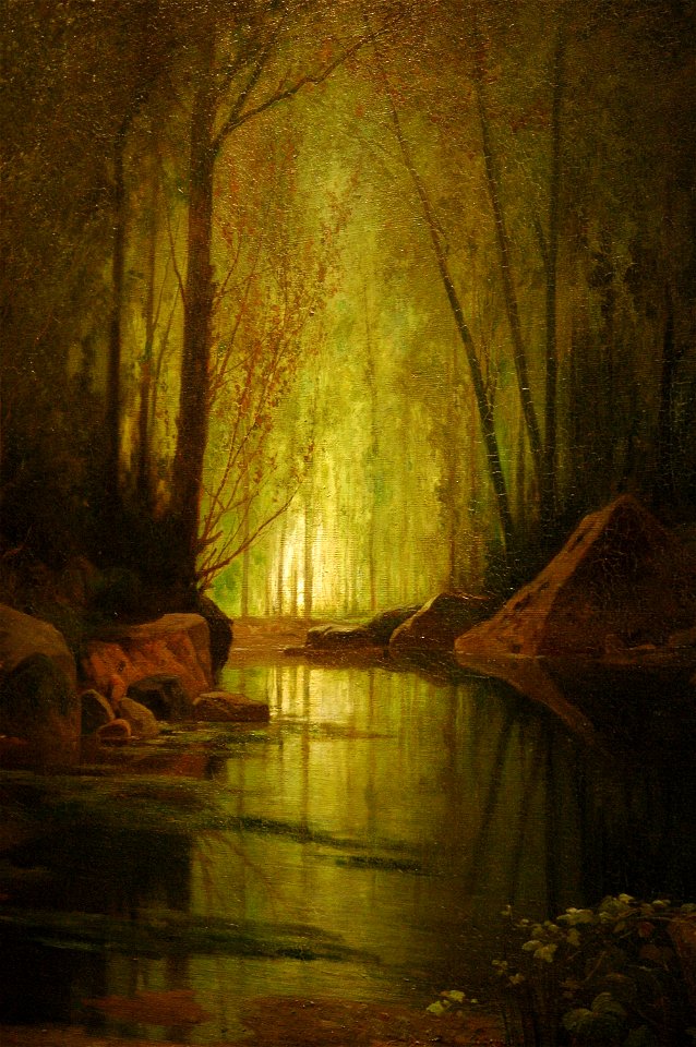 Louis-Émile Dardoize - La Nuit Verte 01
