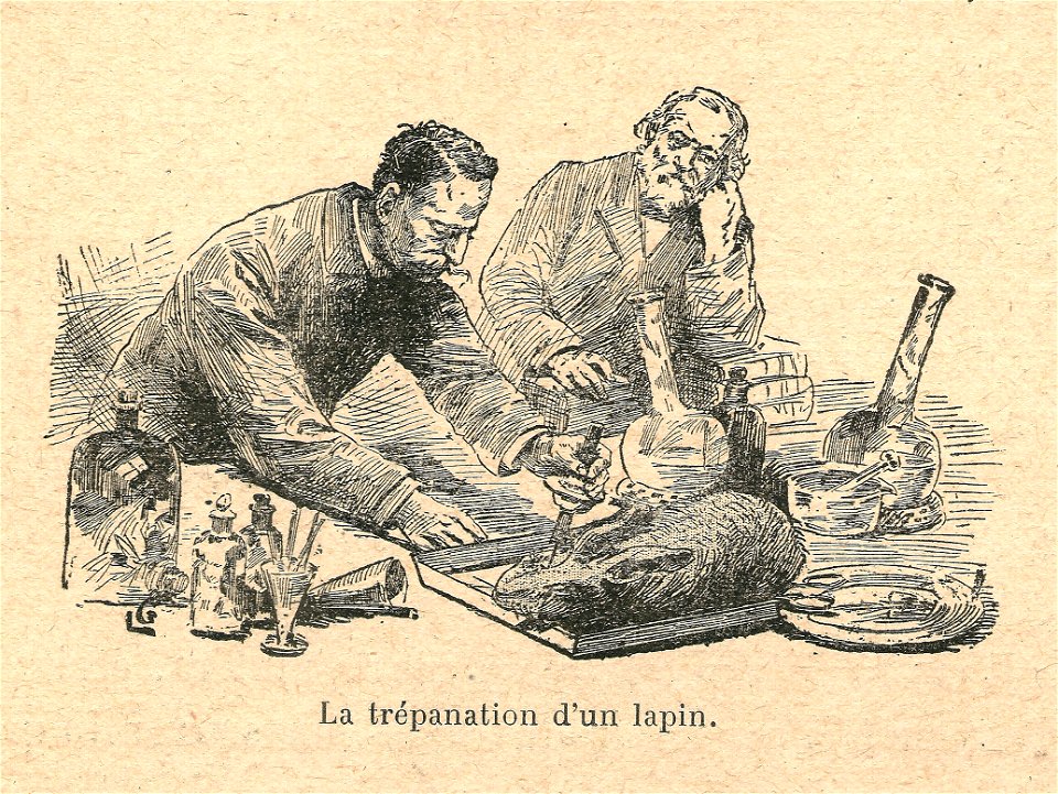 Louis Pasteur-trépanation d'un lapin
