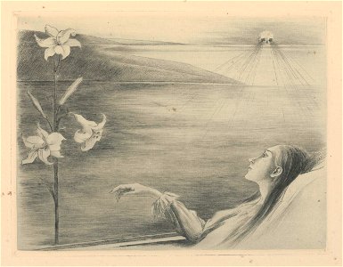 Louise Danse - Les Lys de Morteraine - Graphic work - Royal Library of Belgium - S.I 40347