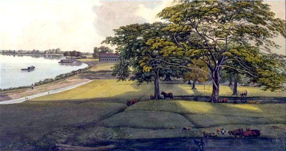 Louise van Panhuys, Commewijnerivier en plantage Nijd en Spijt, 1812 (detail)