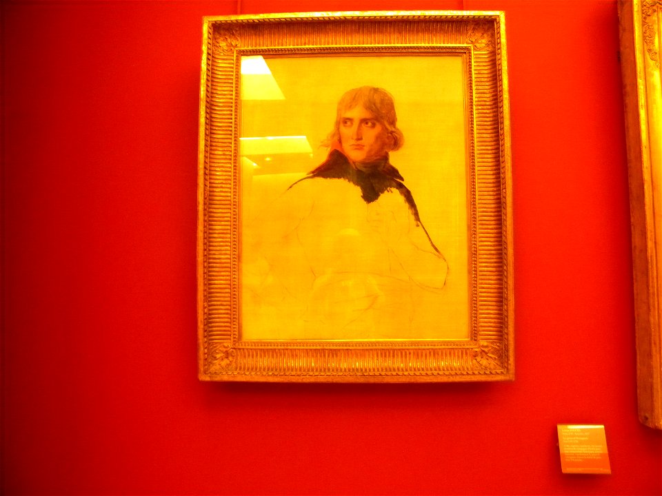 LOUVRE Museum (Napoleon - by David), Paris