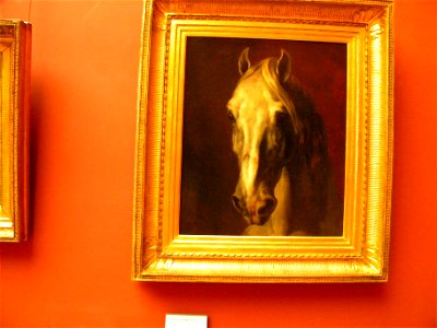 LOUVRE Museum (Head of horse) by Gericault, Paris