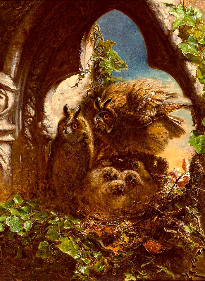 Louisa Serena Rimer The Owl is a Bird of fair degree 1863