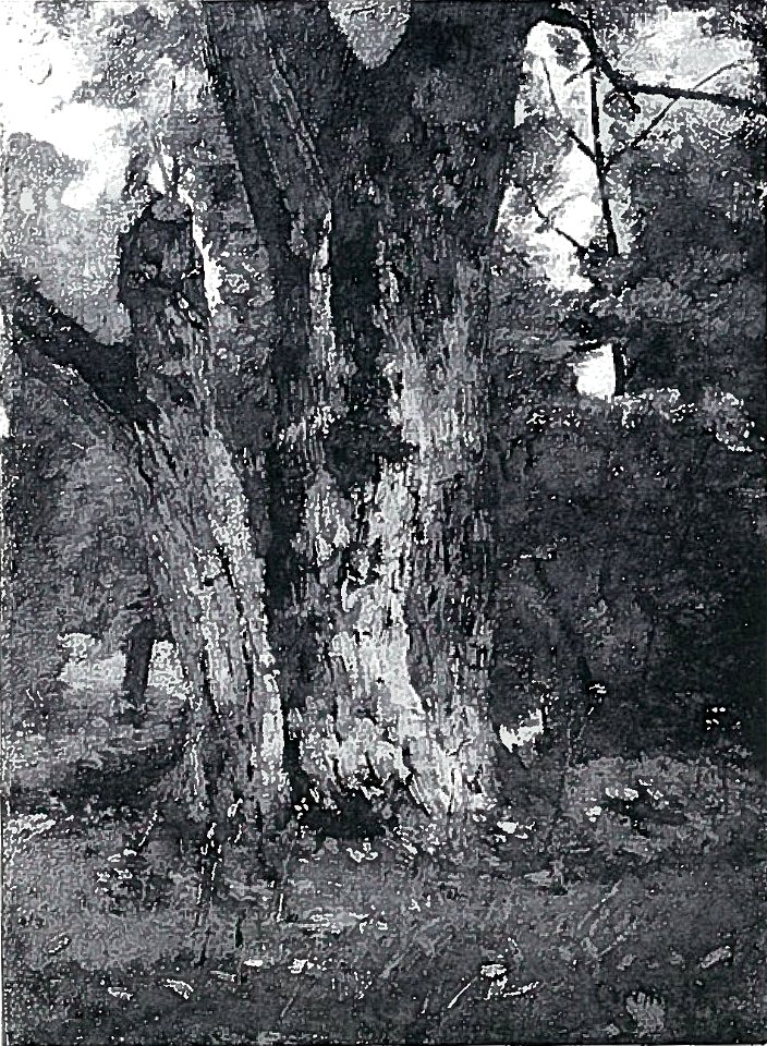 Lovis Corinth BC 1 Aweiderpark in Königsberg 1879 sw