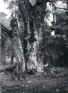 Lovis Corinth BC 1 Aweiderpark in Königsberg 1879 sw