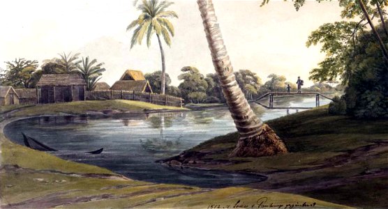 Louise van Panhuys, oudere kokosboom nabij negerhutten, 1812 (detail)