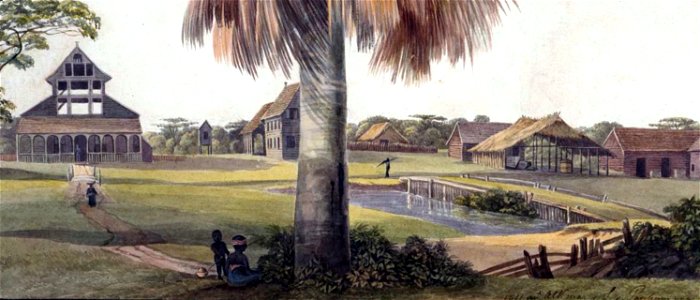 Louise van Panhuys, plantage Alkmaar met mauritiusboom, 1811 (detail)