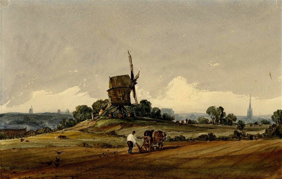 Lound - View of Norwich