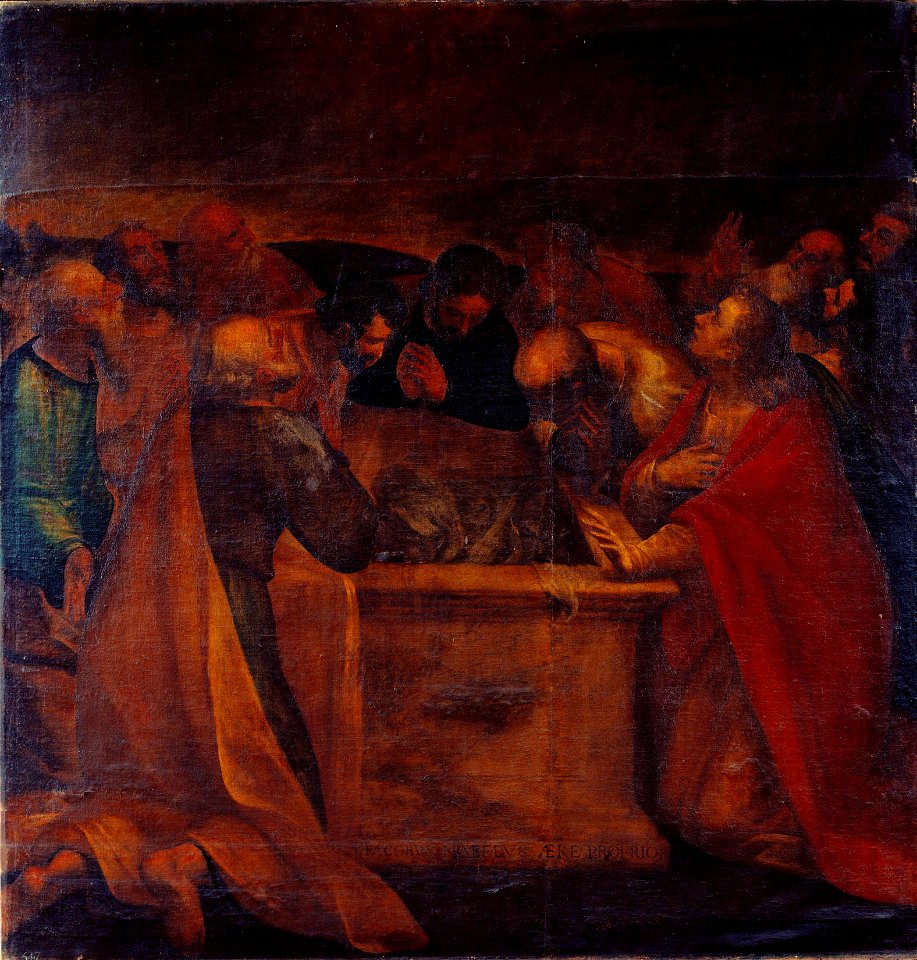 Luca Cambiaso (1527-85) - The Assumption of the Virgin (A Fragment) - RCIN 402709 - Royal Collection