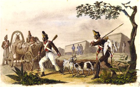 Lozna. Лёзна (C. Faber du Faur, 4.08.1812)