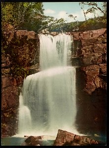 Lower Lodden Falls, near Bulli, N.S.W. LCCN2017657829