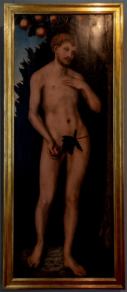 Lucas Cranach der Ältere-Adam-4688