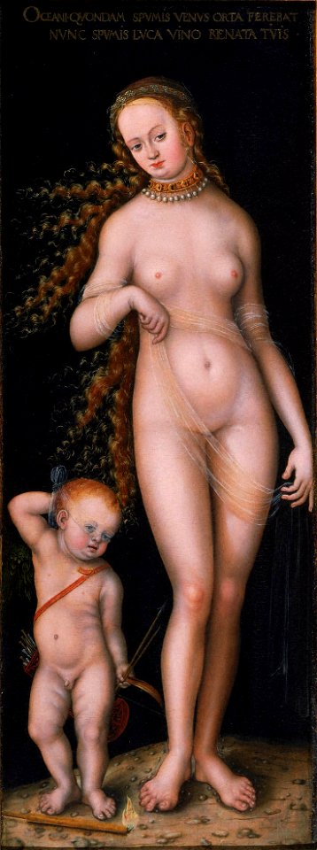 Lucas Cranach d.Ä. - Venus und Amor (Princeton University Art Museum)