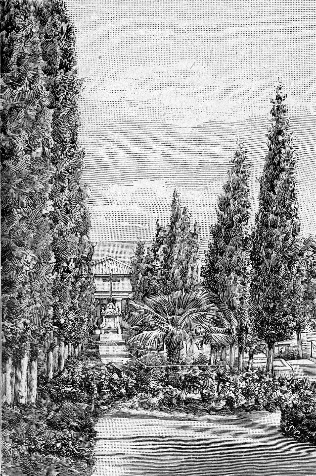 Lucera – Viale del Cimitero perpendicolare all’ingresso (xilografia)