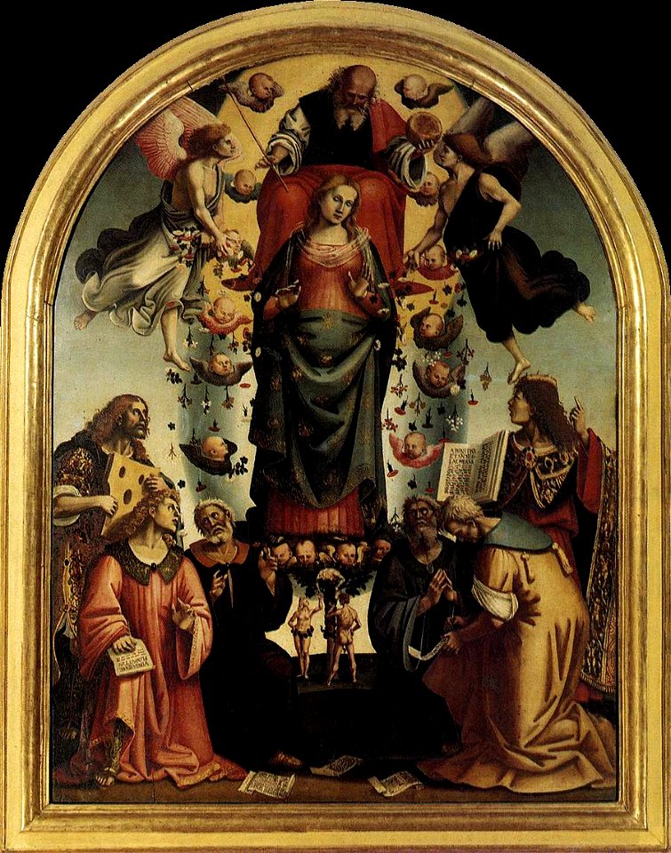 Luca signorelli, immacolata concezione, cortona