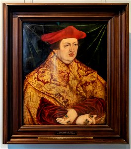Lucas Cranach der Ältere-Albert of Hohenzollern-4681