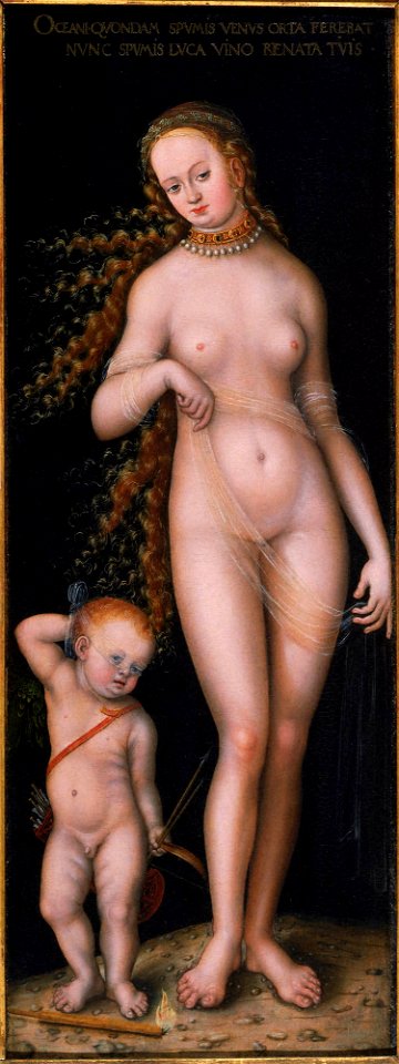 Lucas Cranach the Elder - Venus and Amor - y1968-111 - Princeton University Art Museum
