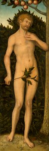 Lucas Cranach, the Elder - Adam - 1935.294 - Art Institute of Chicago. Free illustration for personal and commercial use.