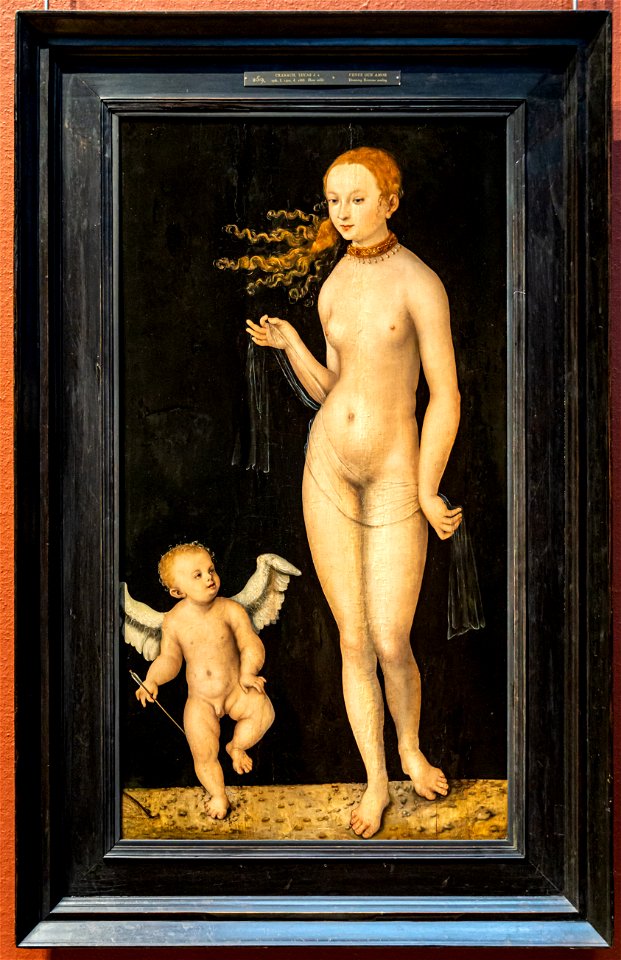 Lucas Cranach der Ältere - Venus und Amor DSC6850