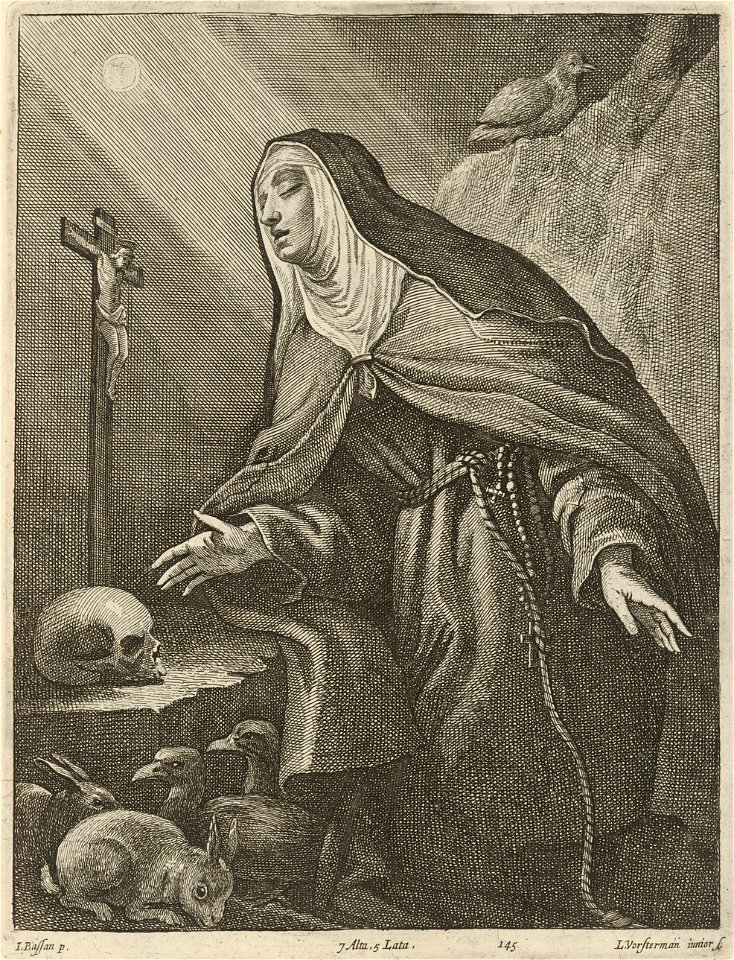 Lucas Vorsterman - Saint Clara SVK-SNG.G 11965-146