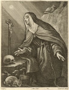 Lucas Vorsterman - Saint Clara SVK-SNG.G 11965-146