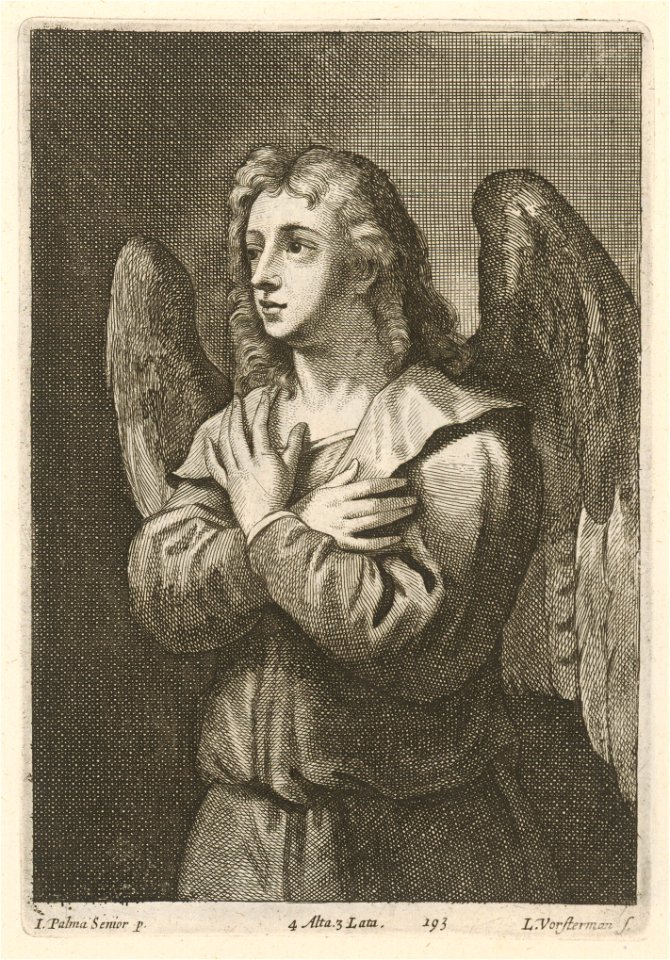 Lucas Vorsterman after Palma il Vecchio - Angel SVK-SNG.G 11965-193
