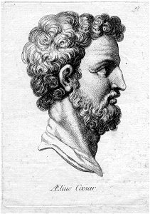 Lucius Aelius