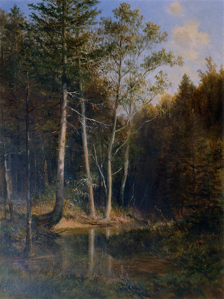 Ludwig Halauska - Waldpartie am Gerichtsberg bei Kaumberg - 2565 - Kunsthistorisches Museum