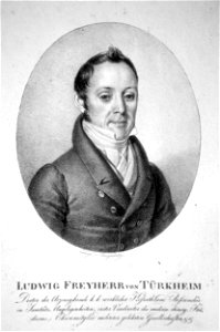 Ludwig Türkheim Litho