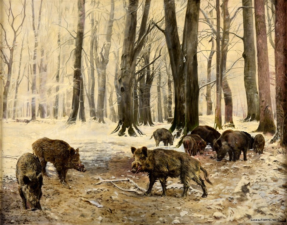 Ludwig Fromme Schwarzwild im Winterwald