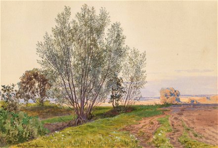 Ludwig Hans Fischer Feld und Bachrand
