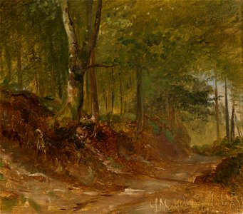 Ludwig Halauska Waldweg 1855