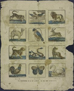 Luipaard. arend. leeuw. kameel-Catchpenny print-Borms 0762
