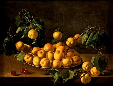 Luis Egidio Meléndez - Still-Life of Fruit - WGA14752