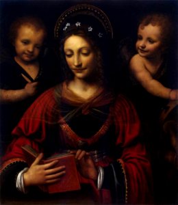 Bernardino Luini - Saint Catherine - WGA13757