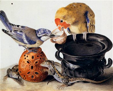 Luisa Vitelli - Parrot, Blue Tit, Two Lizards, and Vases - WGA25162. Free illustration for personal and commercial use.