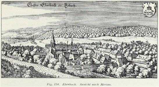 Luthmer I-134-Eberbach Ansicht nach Merian