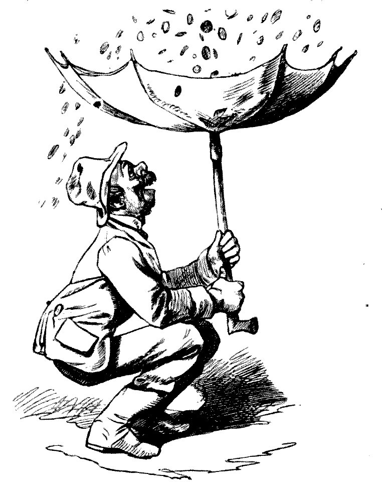 Lustige Botanik und Mineralogie 26 1