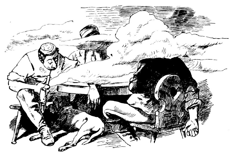 Lustige Botanik und Mineralogie 20 2