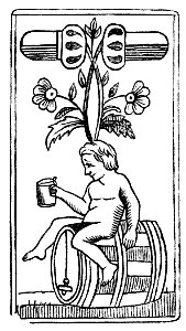 Lustige Botanik und Mineralogie 18 1