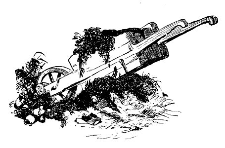 Lustige Botanik und Mineralogie 03 1
