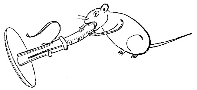 Lustige Naturgeschichte oder Zoologia comica 32-1