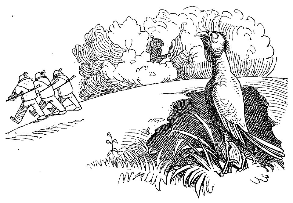 Lustige Naturgeschichte oder Zoologia comica 61