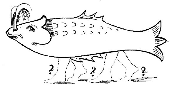 Lustige Naturgeschichte oder Zoologia comica 56