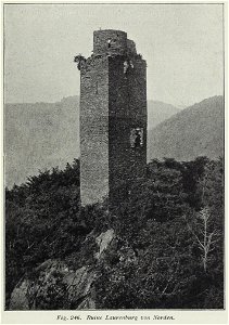 Luthmer III-246-Ruine Laurenburg von Norden