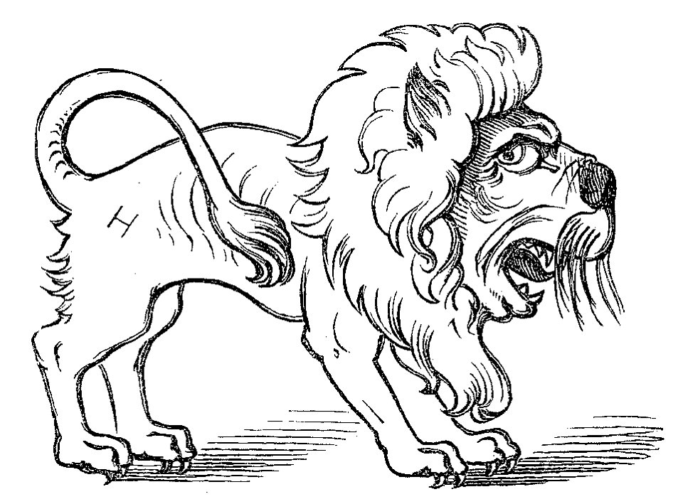Lustige Naturgeschichte oder Zoologia comica 21
